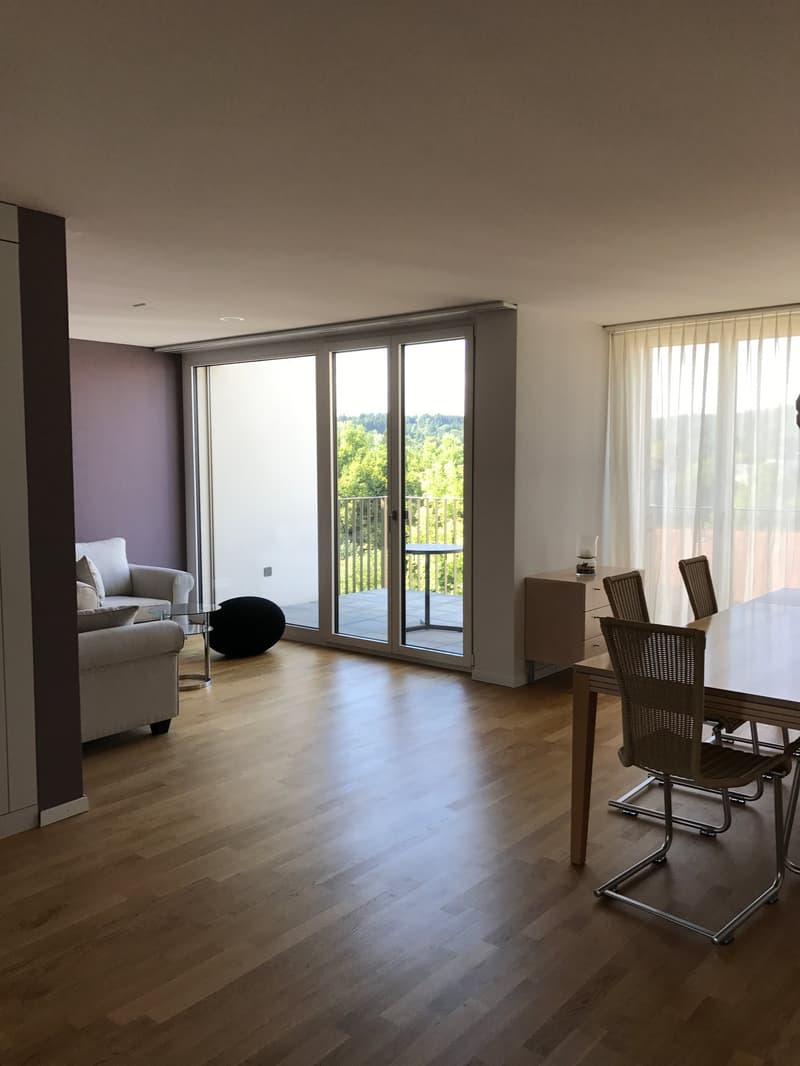 Wohnung mit wunderschöner Aussicht mitten in Frauenfeld (5)