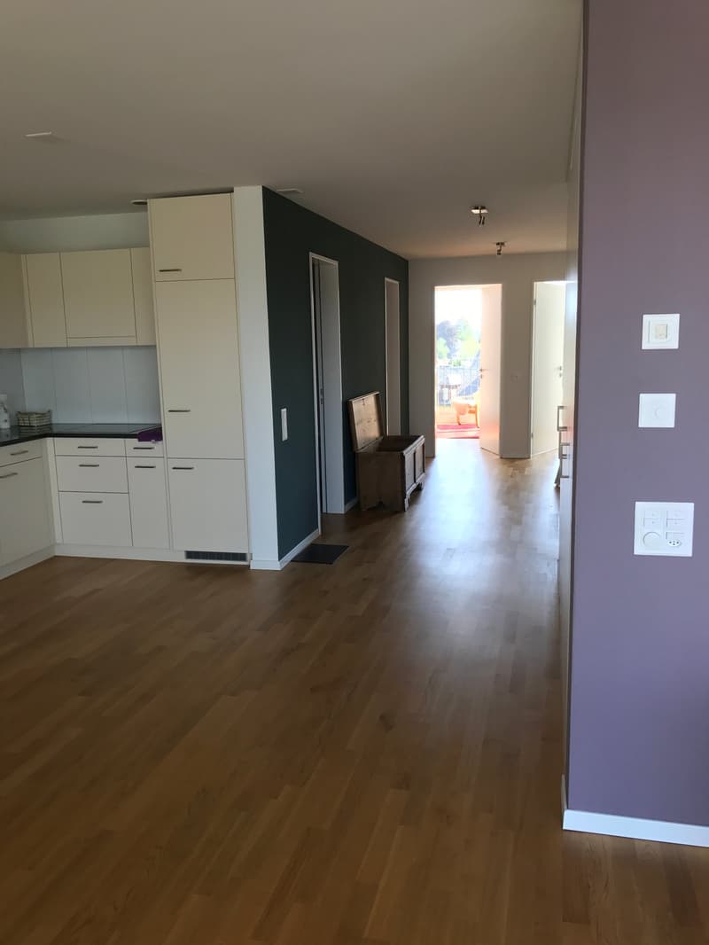 Wohnung mit wunderschöner Aussicht mitten in Frauenfeld (6)