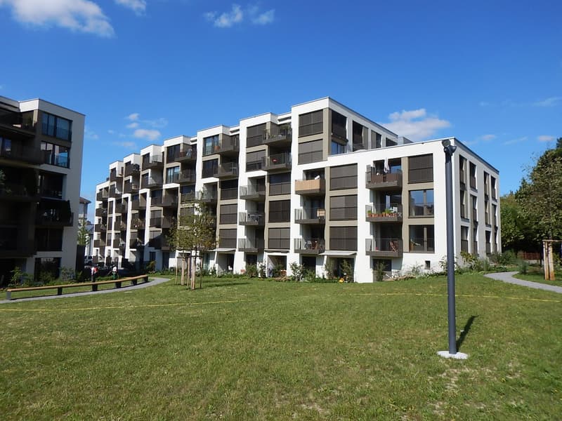 Wohnung mit wunderschöner Aussicht mitten in Frauenfeld (13)