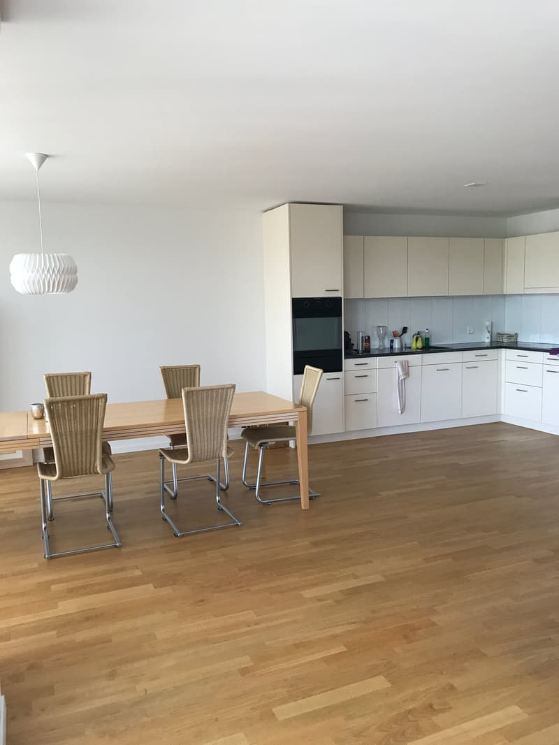 Wohnung mit wunderschöner Aussicht mitten in Frauenfeld (2)