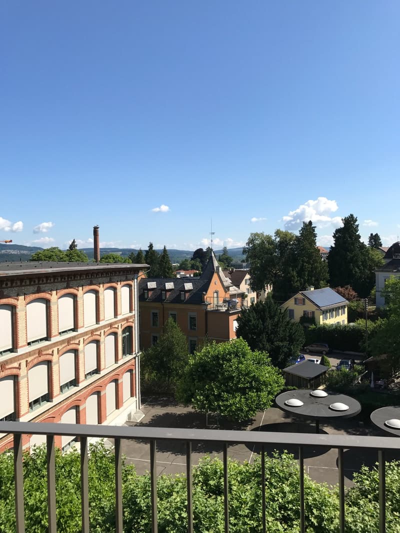 Wohnung mit wunderschöner Aussicht mitten in Frauenfeld (9)