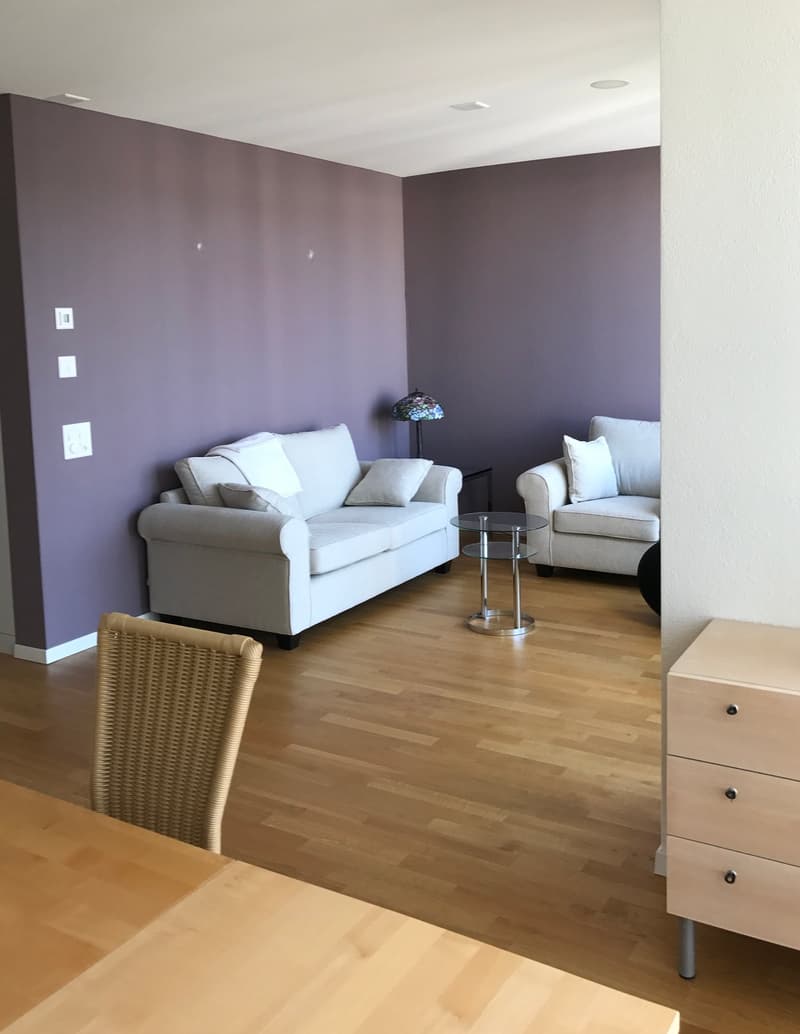 Wohnung mit wunderschöner Aussicht mitten in Frauenfeld (4)