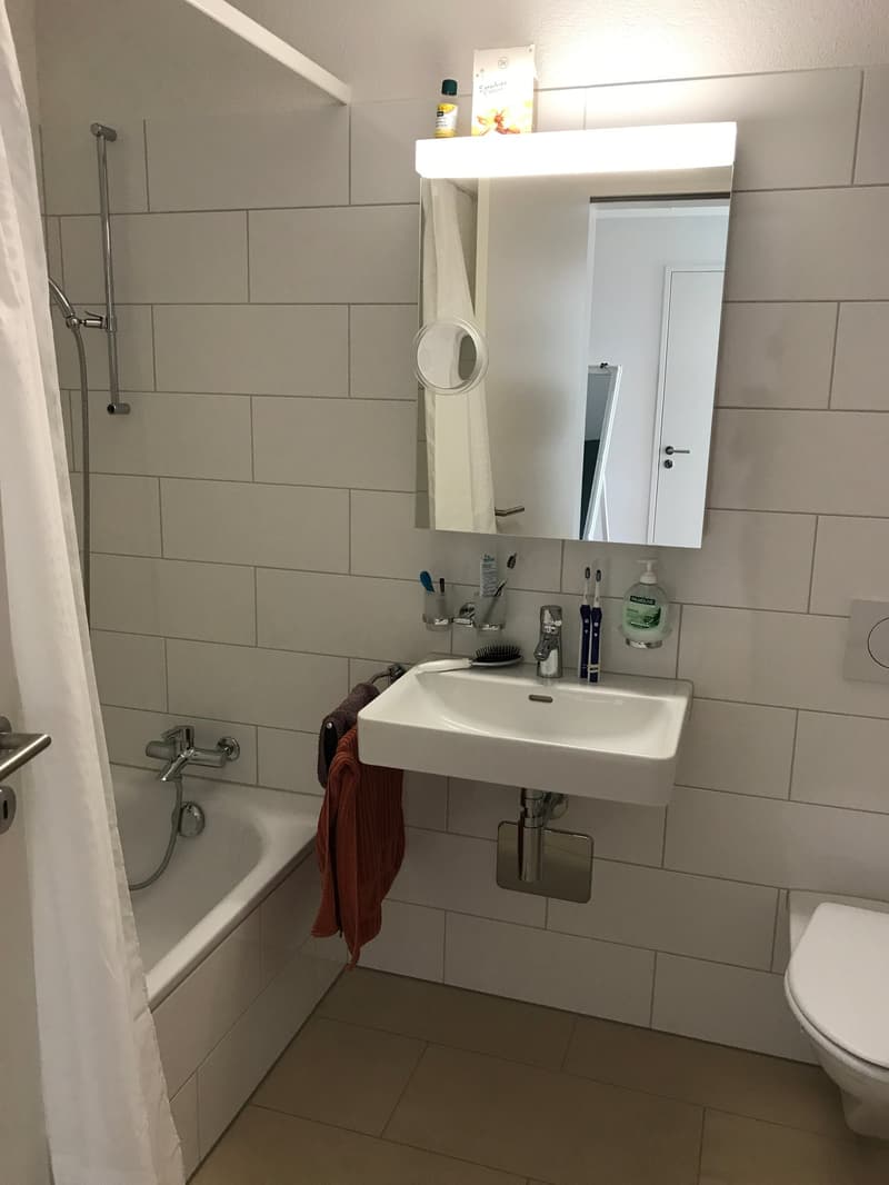 Wohnung mit wunderschöner Aussicht mitten in Frauenfeld (11)