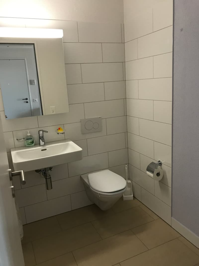 Wohnung mit wunderschöner Aussicht mitten in Frauenfeld (12)
