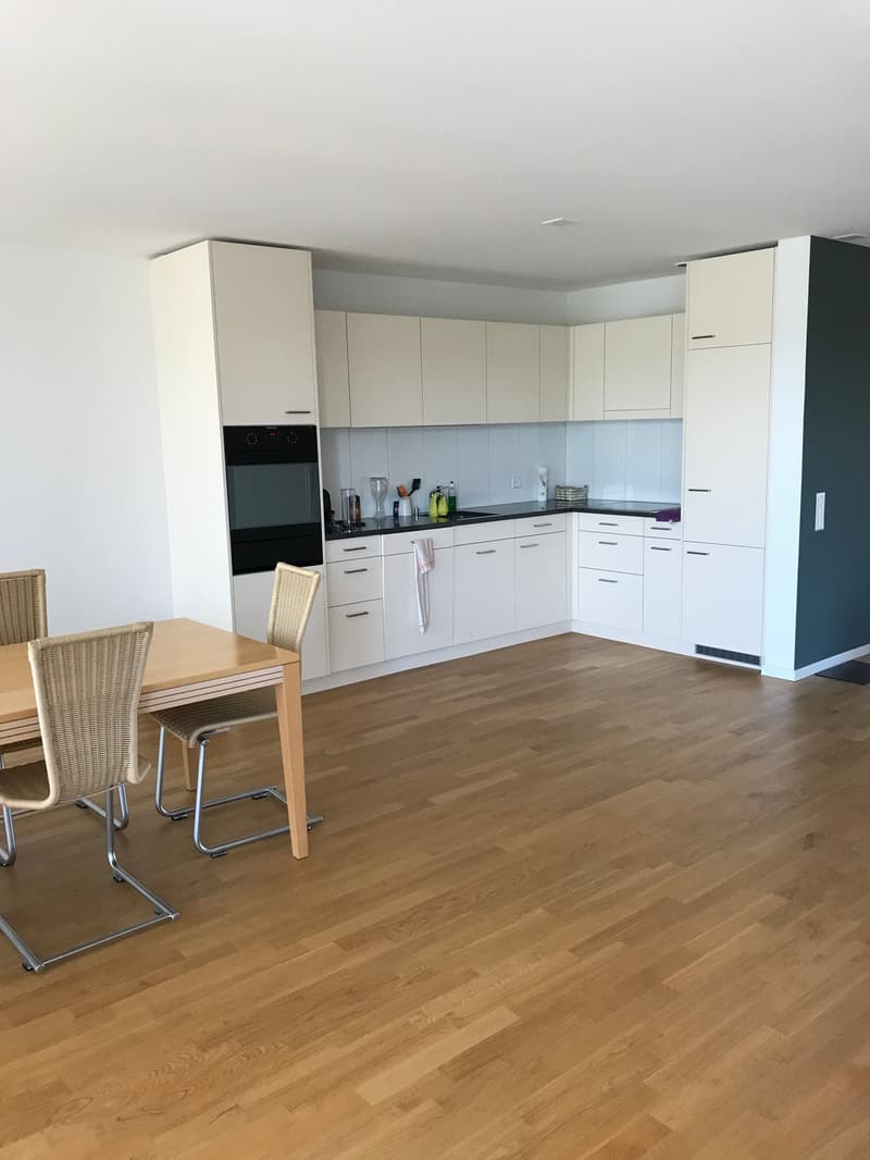 Wohnung mit wunderschöner Aussicht mitten in Frauenfeld (3)