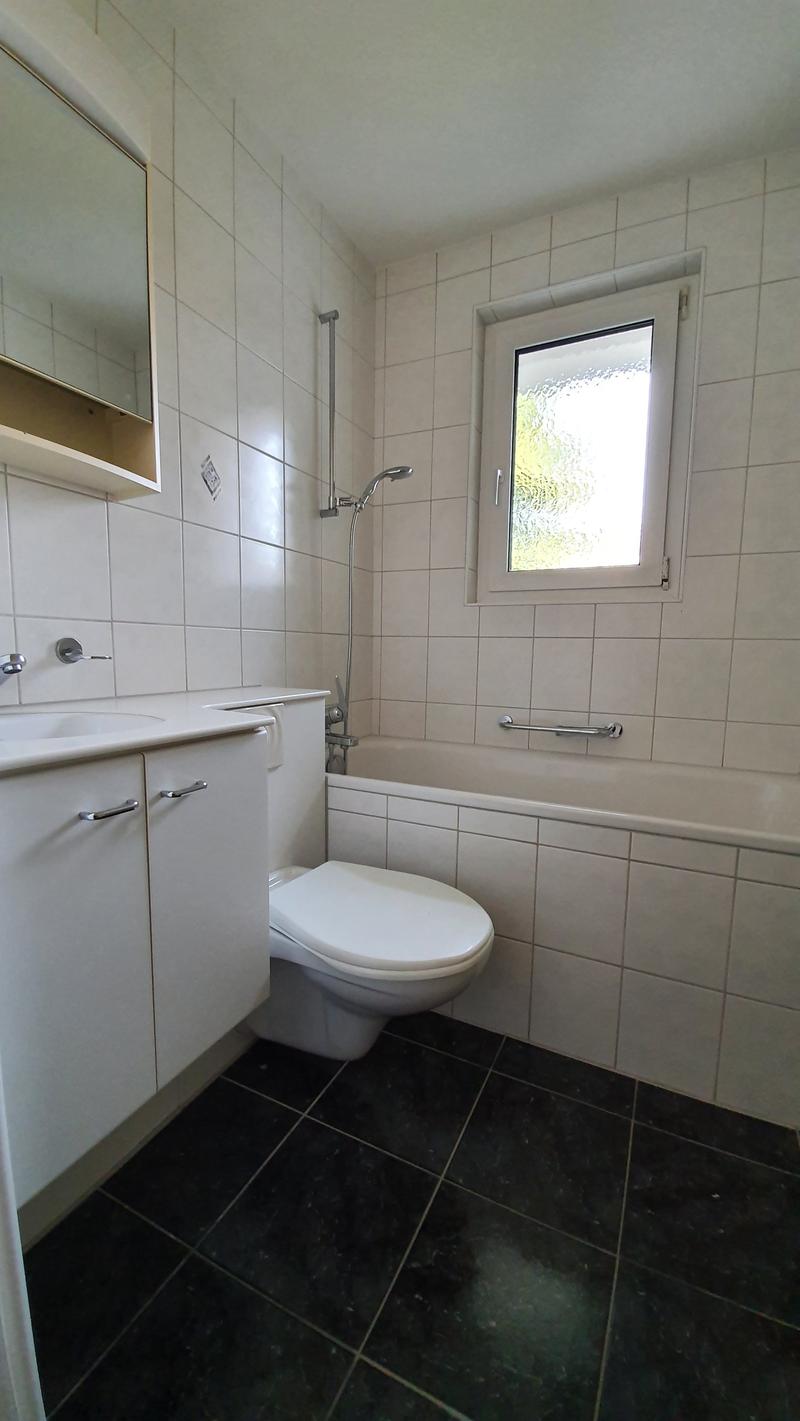 Zu vermieten: 3 Zimmerwohnung mit grossem Balkon an ruhiger Lage (11)