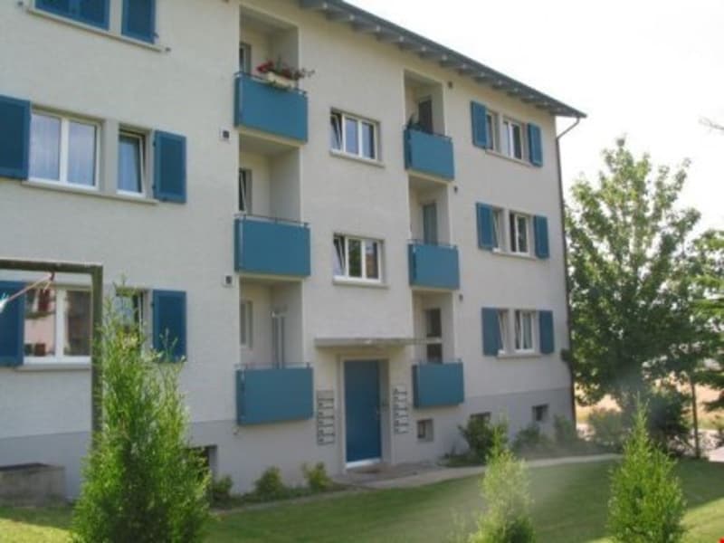 Zu vermieten: 3 Zimmerwohnung mit grossem Balkon an ruhiger Lage (3)