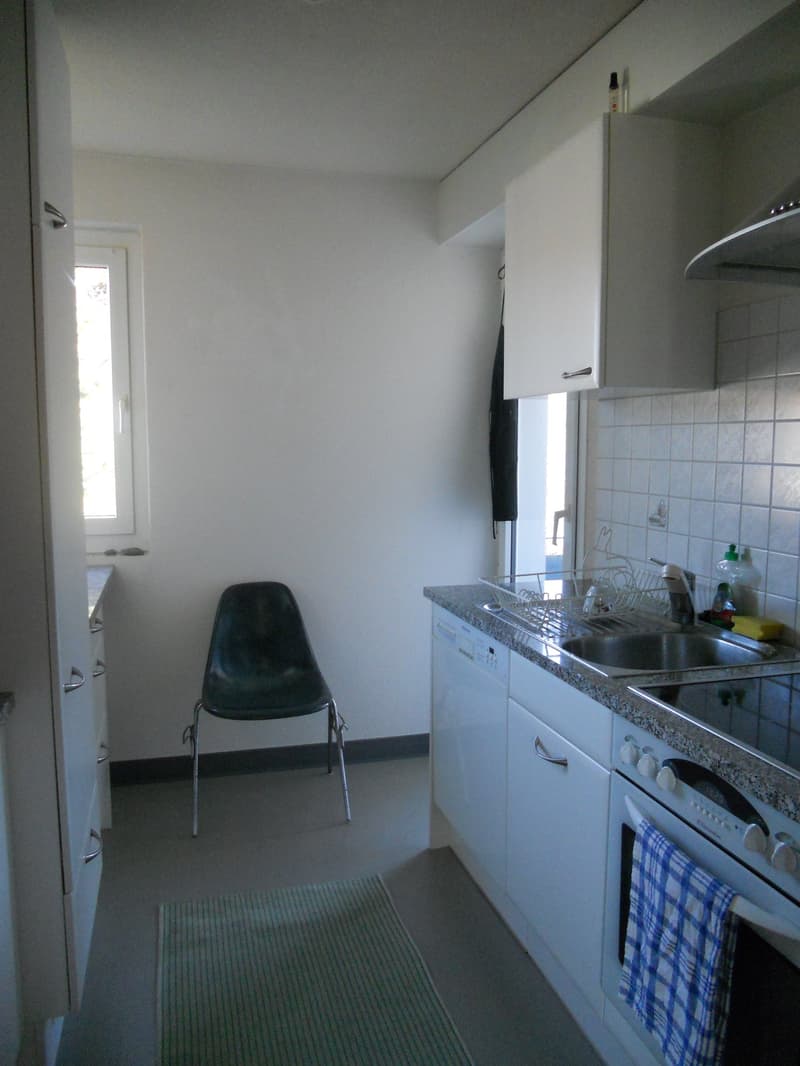 Zu vermieten: 3 Zimmerwohnung mit grossem Balkon an ruhiger Lage (10)
