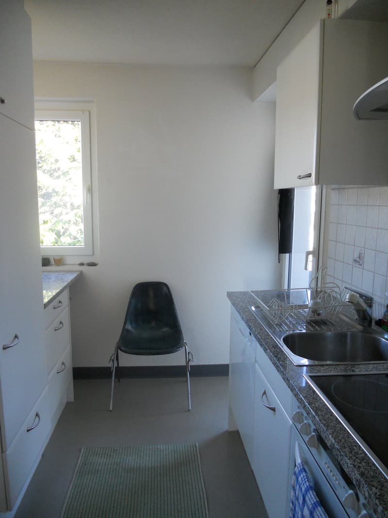 Zu vermieten: 3 Zimmerwohnung mit grossem Balkon an ruhiger Lage (9)