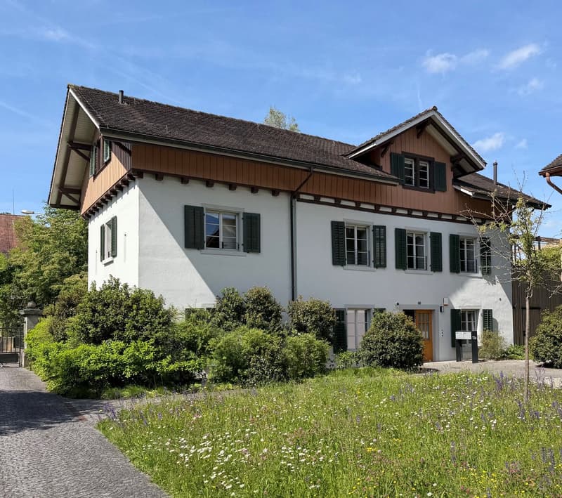 Wohnen im schönen Kanton Thurgau - ca. 40 Min von Zürich (+Flughafen) entfernt (2)