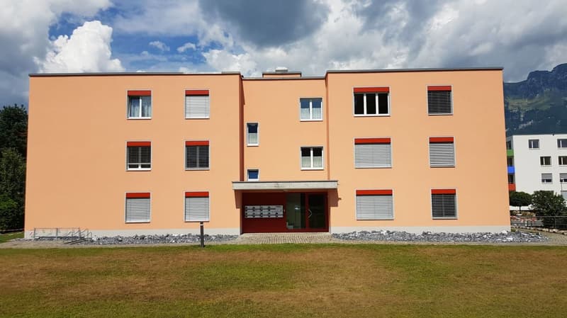 grosszügige 2½-Zimmerwohnung (3)