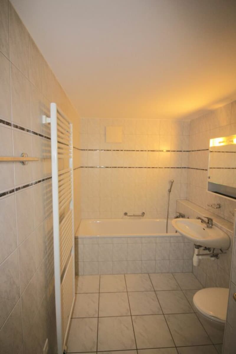 grosszügige 2½-Zimmerwohnung (4)