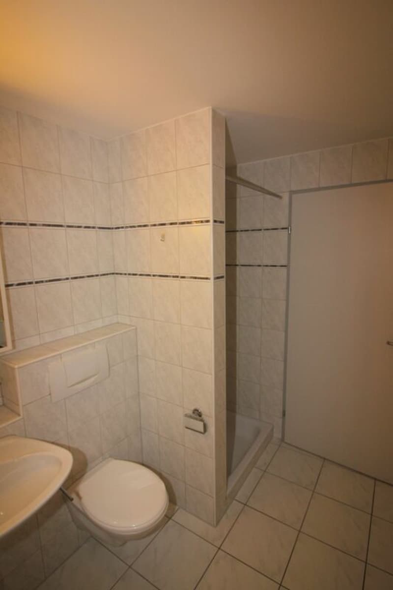 grosszügige 2½-Zimmerwohnung (5)