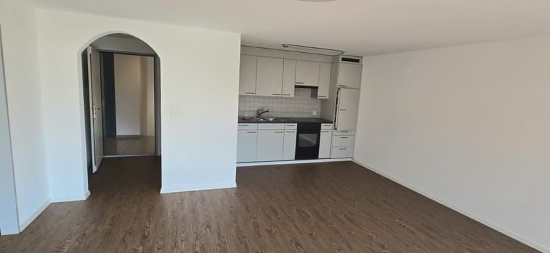 grosszügige 2½-Zimmerwohnung (8)