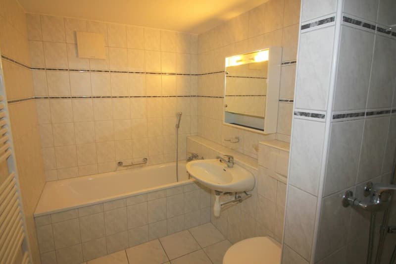 grosszügige 2½-Zimmerwohnung (6)