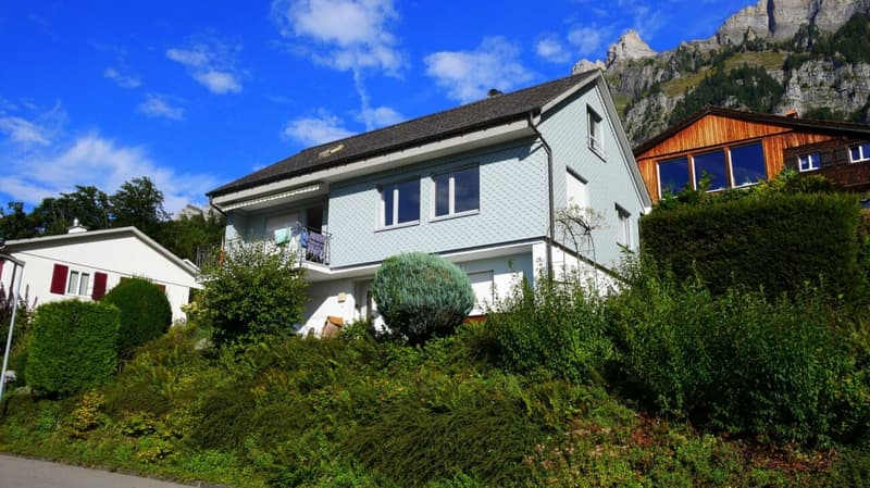 Wohn-Ferienhaus (1)