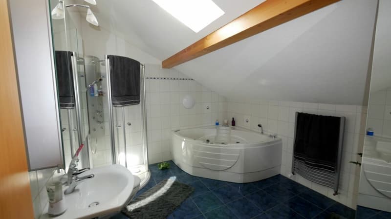 5½-Zimmer-Dachwohnung (Maisonette) (19)
