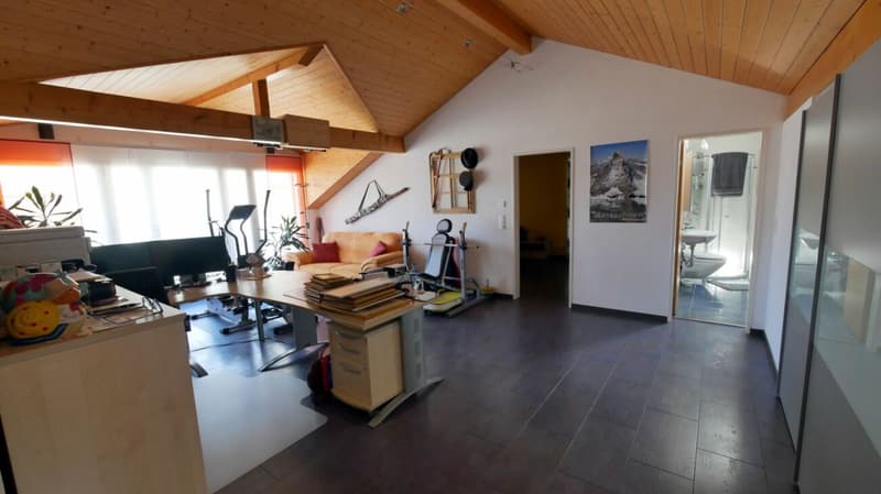 5½-Zimmer-Dachwohnung (Maisonette) (17)
