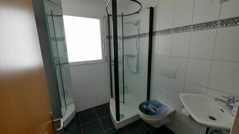5½-Zimmer-Dachwohnung (Maisonette) (13)