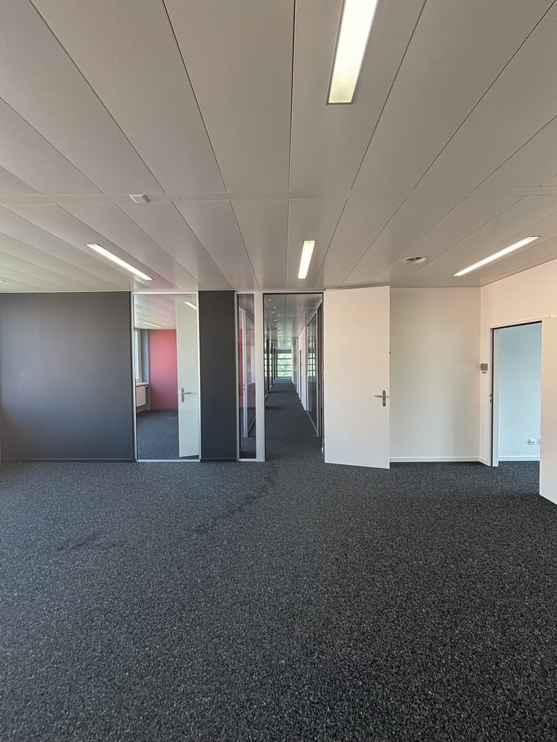 Modern office space with top connection 384.2 m² in Minergie standard (3)