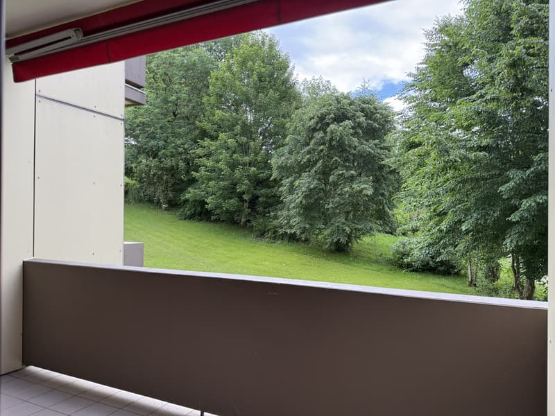 Charmant appartement 3 pièces dans un quartier familial (9)