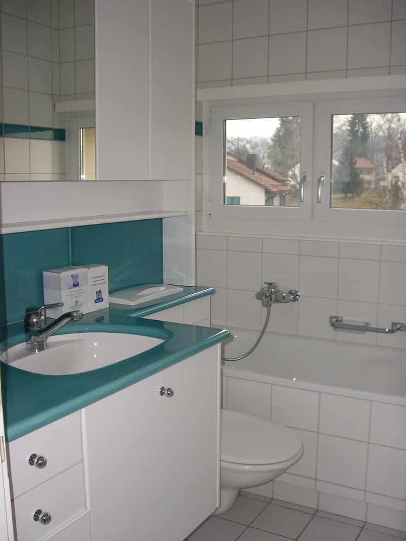Charmante 1-Zimmer Alterswohnung - Ihr neues Zuhause (4)