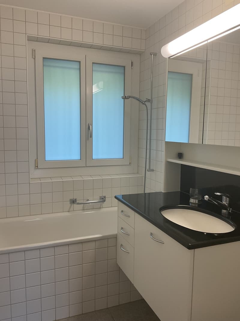 Helle 1-Zimmerwohnung mit Balkon im Stadtzentrum (5)
