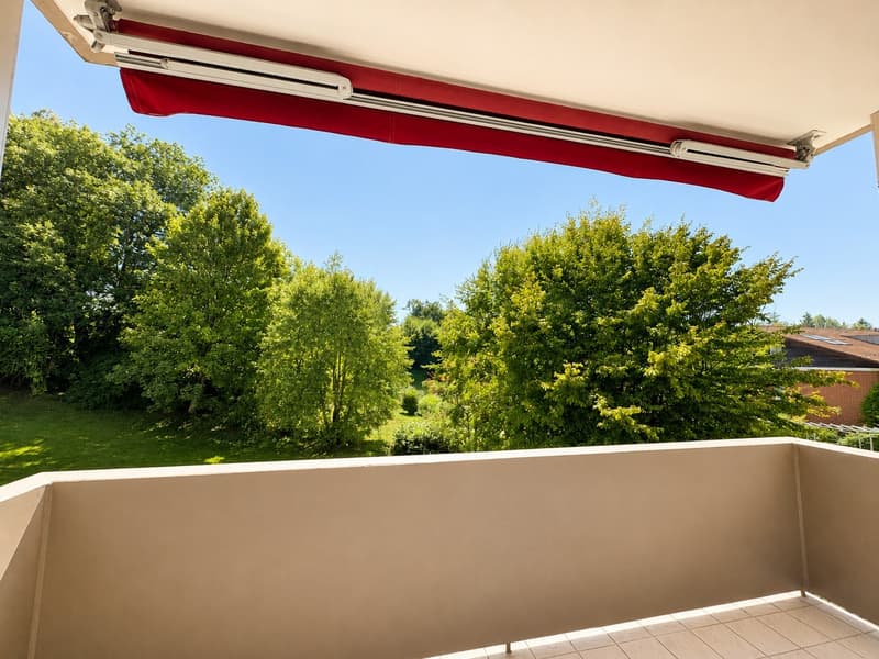 Sonnige 5.5-Zimmer-Wohnung im familienfreundlichen Quartier (9)