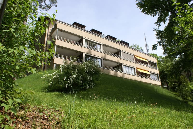 Attraktive 4-Zimmer Wohnung an zentraler Lage am Rosenberg (1)