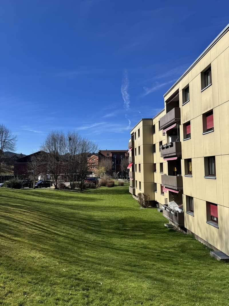 Charmante 4.5-Zimmer-Wohnung im familienfreundlichen Quartier (1)