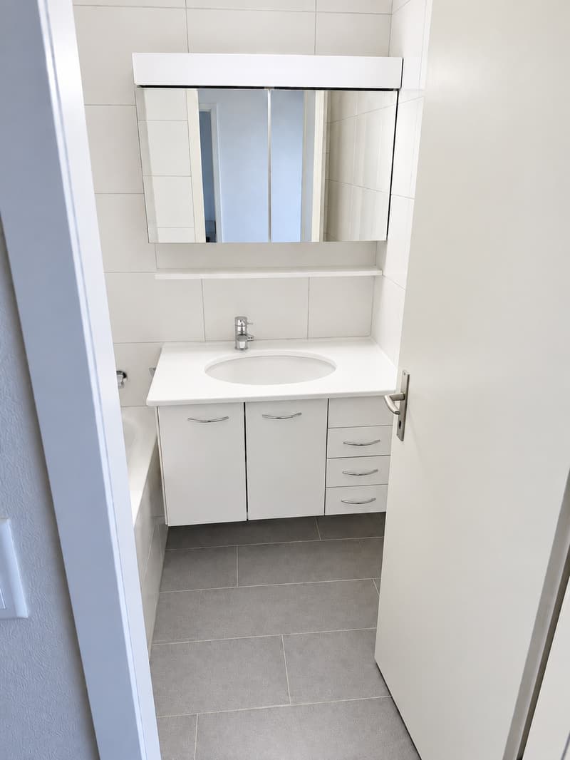 Charmante 4.5-Zimmer-Wohnung im familienfreundlichen Quartier (3)