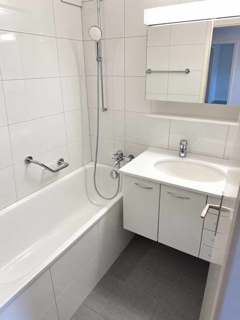 Charmante 4.5-Zimmer-Wohnung im familienfreundlichen Quartier (4)