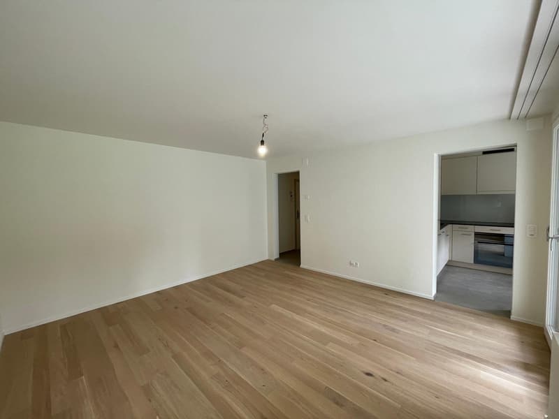 Kernsanierte moderne 1-Zimmerwohnung (4)