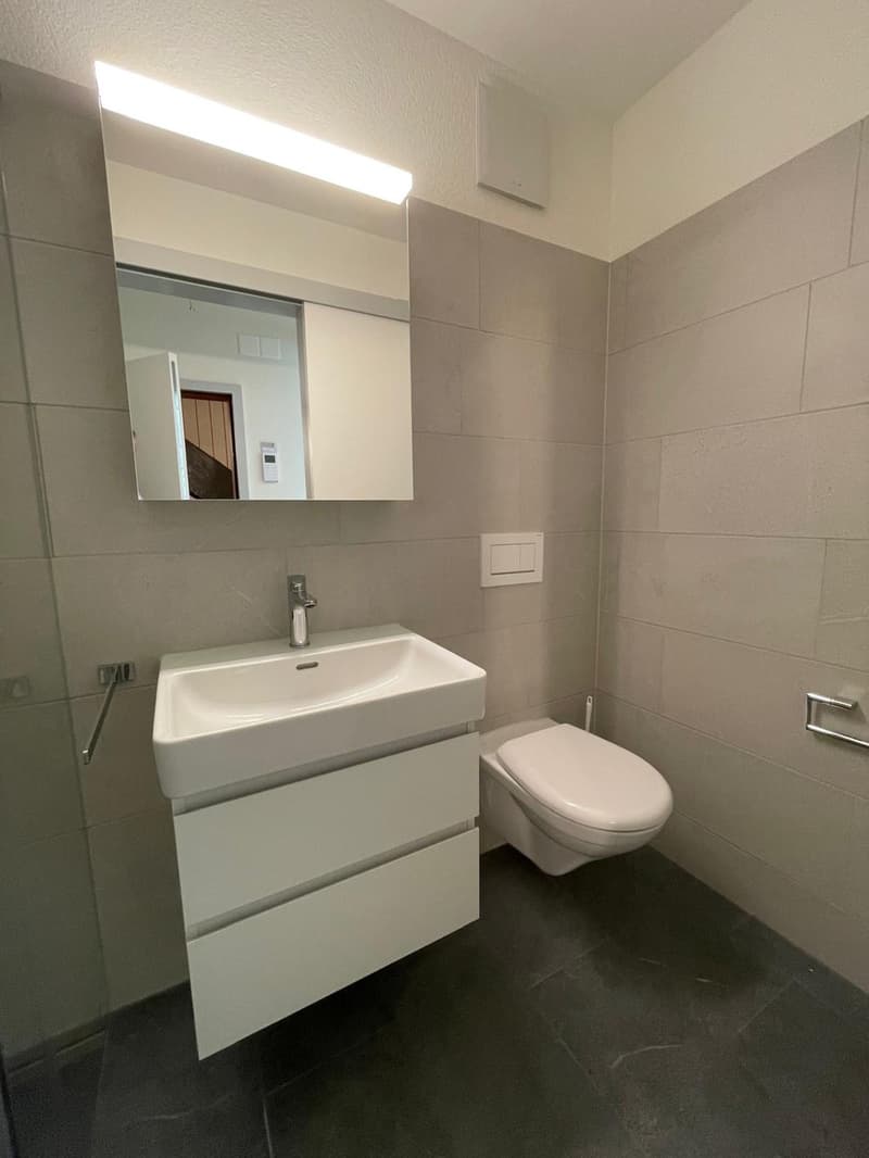 Kernsanierte moderne 1-Zimmerwohnung (6)