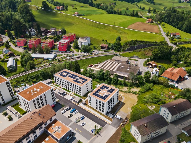 DJI_0786.jpg