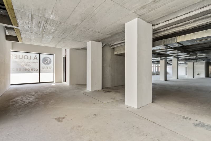 Commercial opportunity in the hypercenter! (13)