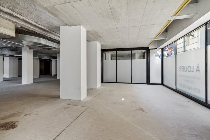 Commercial opportunity in the hypercenter! (7)