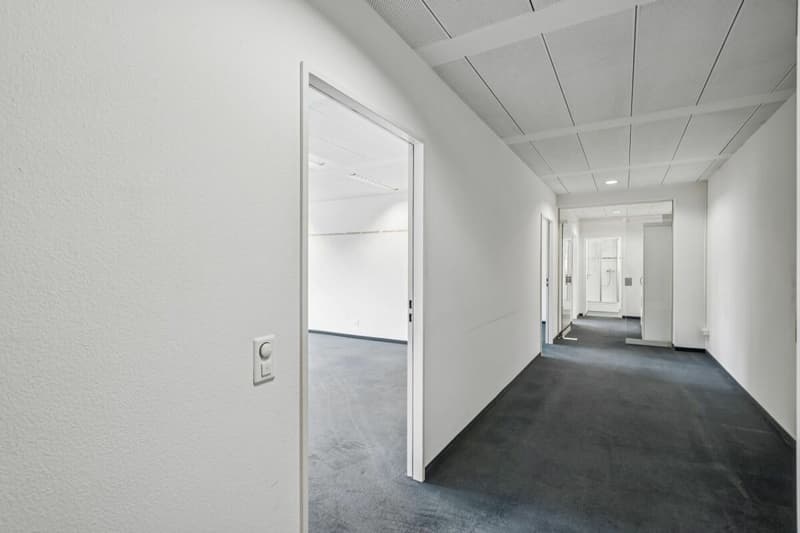 Ruhige Büro-/Gewerbefläche nahe Zürich HB und Löwenplatz (8)