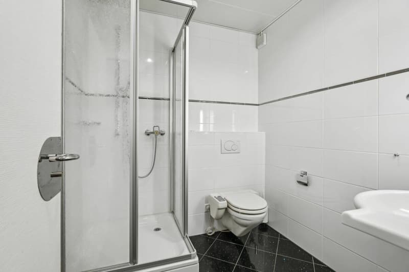 Ruhige Büro-/Gewerbefläche nahe Zürich HB und Löwenplatz (6)