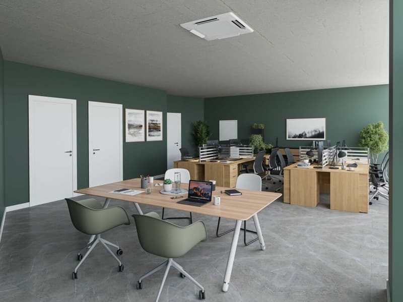 Arcata di 88 m² + 40 m² nel seminterrato, ideale nel cuore di Ginevra (3)