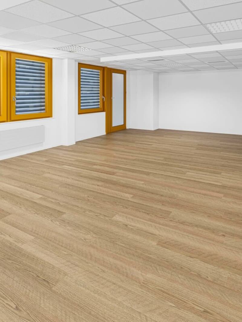 50 m² space at Route Suisse 7 - A functional and accessible space for your professional projects (4)