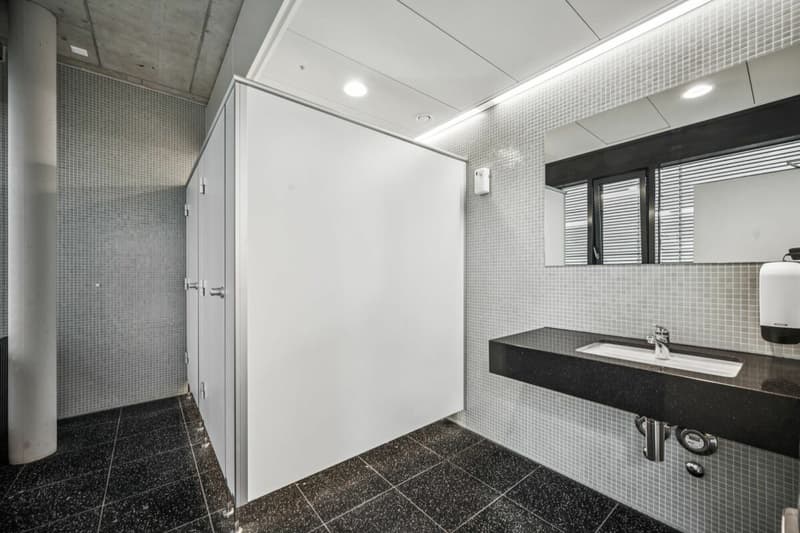 Allmendstrasse 23, Dietikon (14)