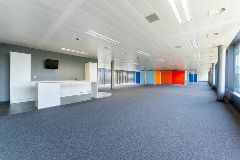 Verwaltungsfläche von 529 m² - große, helle und modulare Büroflächen (2)