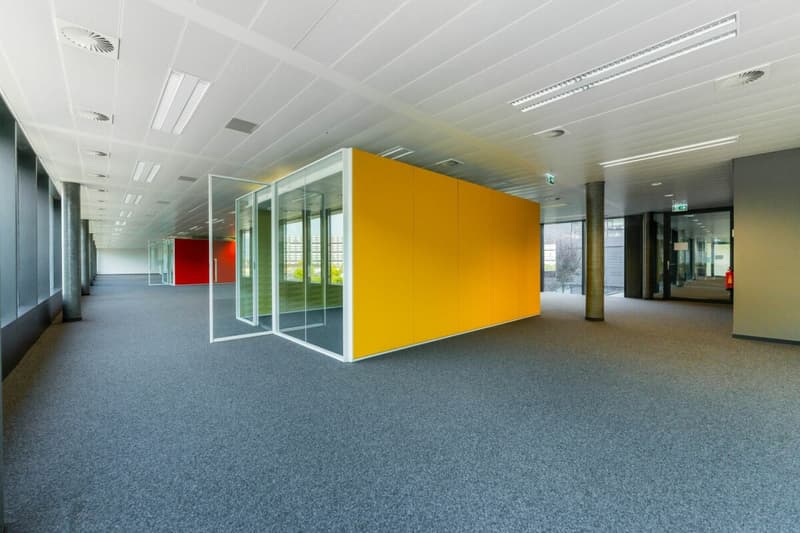 Verwaltungsfläche von 529 m² - große, helle und modulare Büroflächen (6)