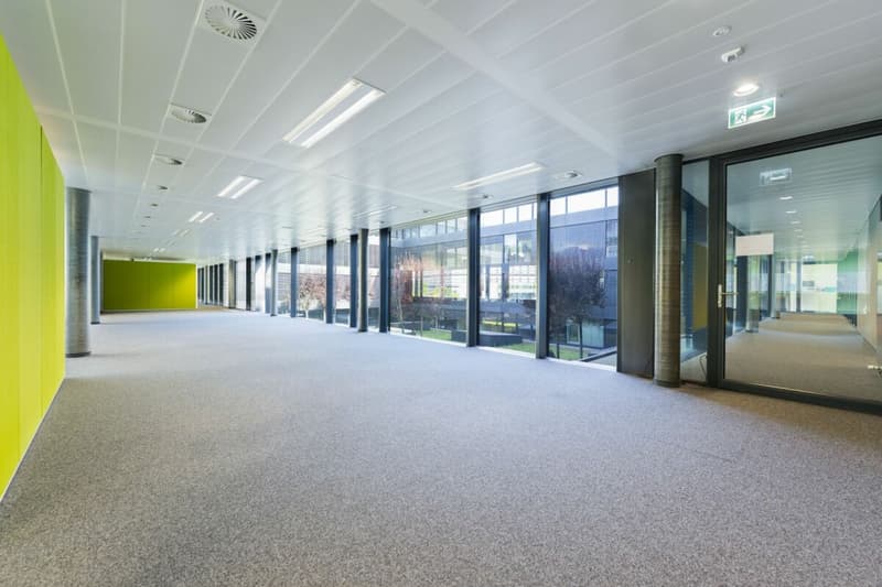 Verwaltungsfläche von 529 m² - große, helle und modulare Büroflächen (5)
