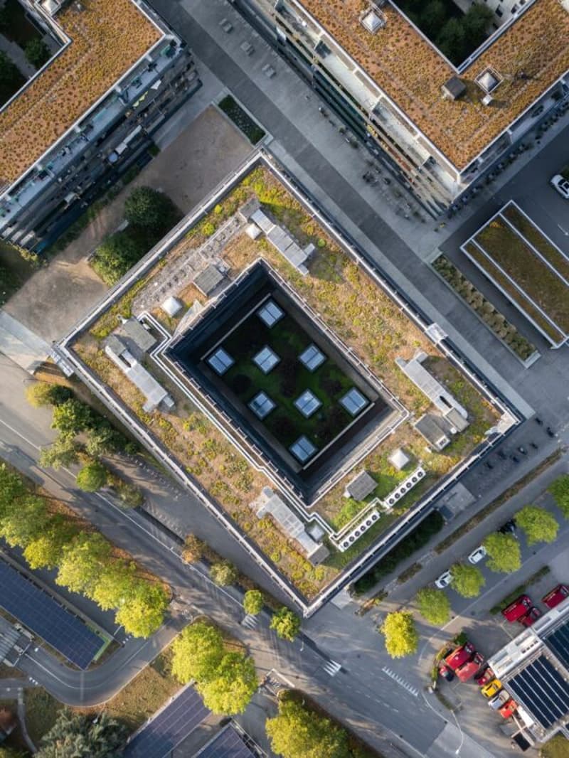 Surface de bureaux de 975m² (2)