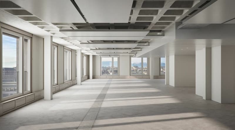 Bureaux de 775 m² sur deux étages en face de la gare Cornavin - disponibles de suite (3)