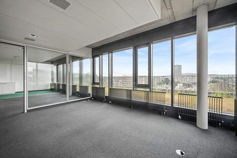 Allmendstrasse 23, Dietikon (1)