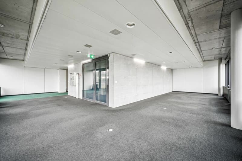 Allmendstrasse 23, Dietikon (7)