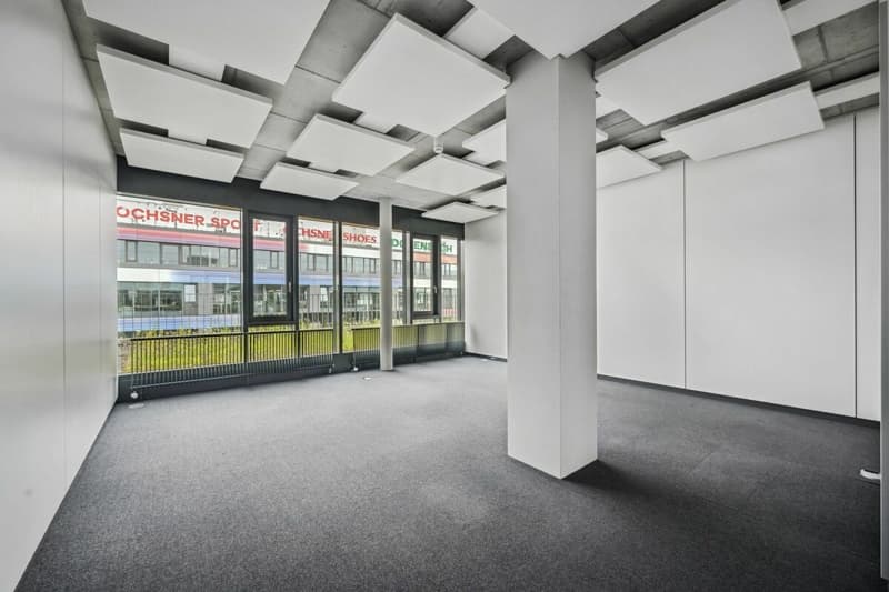Allmendstrasse 23, Dietikon (8)